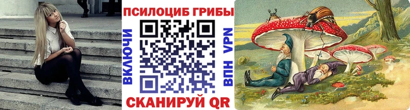 Купить Приморско-Ахтарск Псилоцибиновые грибы мицелий